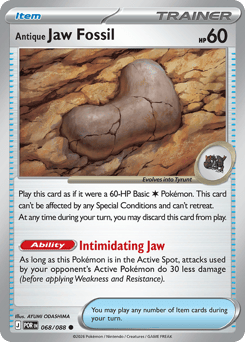Antique Jaw Fossil
