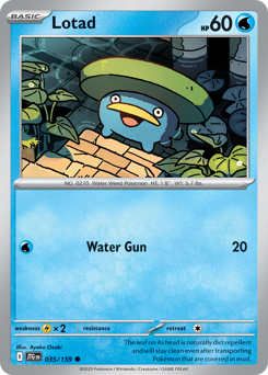 Lotad